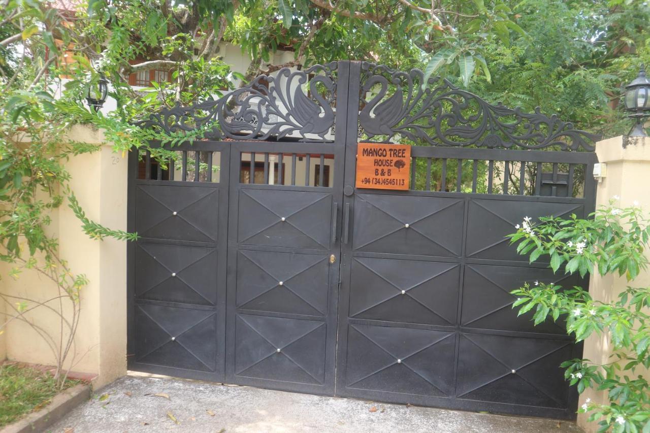 Mango Tree House Bed and Breakfast Beruwala Exterior foto